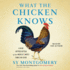 What the Chicken Knows: a New Appreciation of the World's Most Familiar Bird