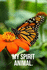 My Spirit Animal: Monarch Butterfly Journal