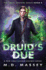 Druid's Due: a New Adult Urban Fantasy Novel