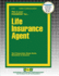 Life Insurance Agent