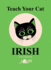 Teach Your Cat Irish Format: Paperback