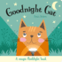 Goodnight Cat (Magic Flashlight Books)