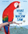 What the Macaw Saw