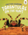 Tarantulas on the Hunt Format: Library Bound