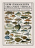 How Zoologists Organize Things Format: Paperback-Flexible Plastic/Vinyl Cover