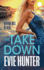 The Takedown: The BRAND NEW gripping revenge thriller from Evie Hunter for 2024