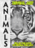 Reveal Art: Animals: Fill in the Dots to Reveal the Art!