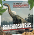 Brachiosaurus All About Dinosaurs