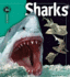 Sharks (Insiders Series)