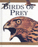 Birds of Prey (a Pocket Companion)