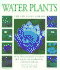 Water Plants (Little Plant Library)