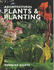 Architectural Plants and Planting