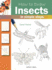 How to Draw: Insects