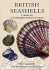 British Seashells: a Guide for Collectors and Beachcombers
