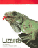 Lizards (Nature Fact File)