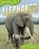 Elephants (Qed Animal Lives)