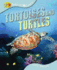 Tortoises and Turtles (Animal Lives)