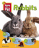 Rabbits (Pets)