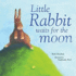 Little Rabbit Waits for the Moon (Mini Board Books)