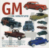 Gm in Miniature