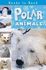 Polar Animals (Ready to Read)