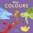 Colours (Wild! Concepts (4))