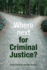 Where Next for Criminal Justice?