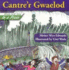 Cantre'R Gwaelod (Welsh Folk Tales in a Flash! )