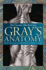 Gray's Anatomy. Henry Gray