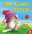 Hot Cross Bunny!