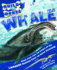 Whale