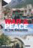 War and Peace in the Balkans: the Diplomacy of Conflict in the Former Yugoslavia (International Library of War Studies)