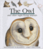 The Owl