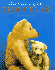 The Century of the Teddy Bear
