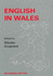 Multilingual Matters: English in Wales: Diversity, Conflict and Change (Volume 52)