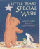 Little Bear's Special Wish