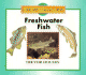 Freshwater Fish (Concise Collection S. )