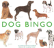 Dog Bingo Magma for Laurence King