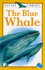 The Blue Whale (Little Library)