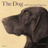 The Dog: 5000 Years of the Dog in Art