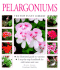 Pelargoniums