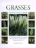 Grasses (New Plant Library)