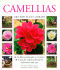 Camellias: a Step-By-Step Handbook for Cultivation and Care (New Plant Library)