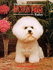 The Bichon Frise Today (Book of the Breed S) (Book of the Breed S)