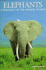 Elephants (a Portrait of the Animal World)