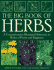 The Big Book of Herbs: a Comprehensive Illustrated Reference to Herbs of Flavor and Fragrance
