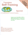Translator Self-Training-Spanish