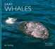 Gray Whales (Worldlife Library)