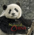 Exploring Natural China