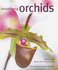 Introducing Orchids: a Beginner's Guide